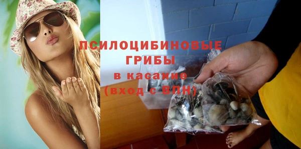 apvp Мегион