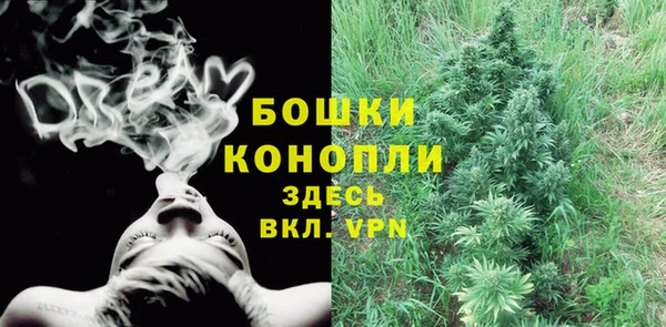 2c-b Медвежьегорск