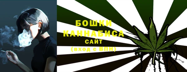 2c-b Медвежьегорск