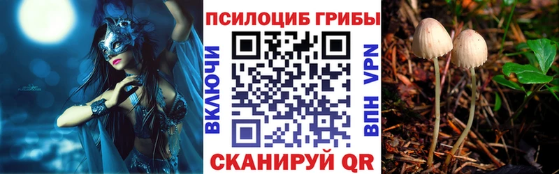Псилоцибиновые грибы ЛСД где купить наркоту Поворино